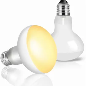 Meilleurs prix pour Lot de 2 Ampoule Chauffante Reptile 100W AC 220V Basking Spot R80 Ampoule UVA E27 Lampe Chauffante Terrarium 100.0 LAMPE CHAUFFANTE