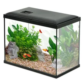 Comparer les prix de Aquarium Poisson Initio 35cm Noir - Zolux
