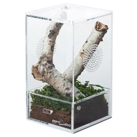 Meilleurs prix pour Terrarium en acrylique pour lélevage de mantes religieuses (10x10x20 cm)