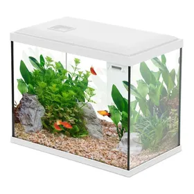 Comparer les prix de Aquarium Poisson Initio 35cm Blanc - Zolux