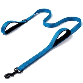 Meilleurs prix pour Laisse pour chien en nylon réfléchissant - Phoesky - 1.8m - 2 poignées - Poignée rembourrée - Coutures réfléchissantes