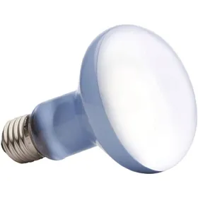 Meilleurs prix pour Uva + uvb Reptile Lampe Ampoule Tortue Basting Uv Ampoules Lampe Chauffante Amphibiens Lézards Contrôleur De Température - 100W