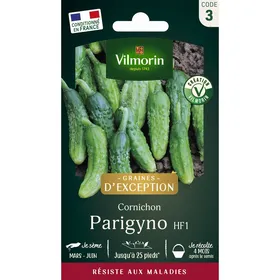 Meilleurs prix pour VILMORIN Cornichon Parigyno HF1 Création Vilmorin
