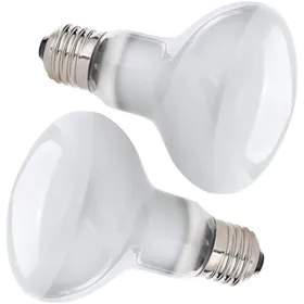 Meilleurs prix pour Lampe Chauffante2pcs 50W Lampe Chauffante TortueUVA E27 Spiral Lampe Reptiles220V Silver Plated Glass Ampoule Lamp Chauffante Tor