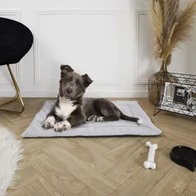 Meilleurs prix pour Tapis Pour Animaux - The Concept Factory - Gris
