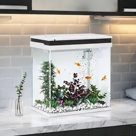Meilleurs prix pour Aquarium complet en verre de 14 L avec éclairage LED et filtration – Idéal pour poissons tropicaux combattants – 30 x 20 x 33 cm