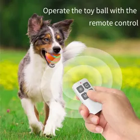 Comparer les prix de Balle Interactive Autopropulsée pour Chien et Chat - Lumière LED Rechargeable USB Jouet Roulant Amusant - Orange