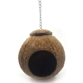 Meilleurs prix pour Nid coco suspendu – Coque naturelle 12cm avec chaîne – Pour perroquet perruche et hamster