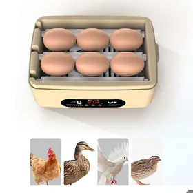 Meilleurs prix pour Mini incubateur 6 œufs automatique – Retournement automatique  – Lampe de mirage intégrée – Pour poules cailles canards oies