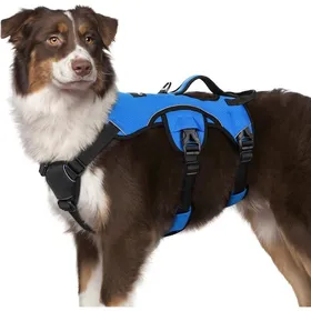 Meilleurs prix pour rabbitgoo Harnais pour Chien avec Poignée de Levage Harnais Réglables pour Animaux de Compagnie Facile à Contrôler M Bleu