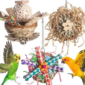 Meilleurs prix pour Lot de 3 jouets pour oiseaux perroquets perruches perruches oiseaux conures inséparables