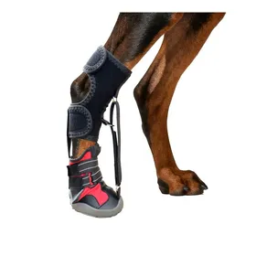 Comparer les prix de Chaussettes pour chien  Support pour patte avec brides Améliore la démarche du chien Semelle résistante et antidérapante noir