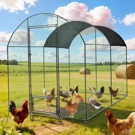 Comparer les prix de Grand Poulailler Extérieur - BingoPaw - 2x3x2.2m avec Toit Imperméable et anti-UV pour Poules Lapins