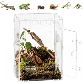 Comparer les prix de Terrarium Acrylique Transparent 30x20x15 cm Vivarium 360° Ventition Croisée pour Araignées Sauteuses Tarentules VIVARIUM