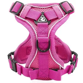 Meilleurs prix pour Harnais réglable pour chat anti-fuite avec laisse souple pour chats chatons chiens et chiots (Rose-M)