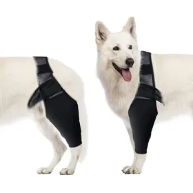 Comparer les prix de Coudière de compression pour chien - ZOR® - XL - Soutien coude et épaule - Arthrite - Dysplasie - Luxation