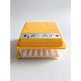Meilleurs prix pour Incubateur automatique 36 œufs - couveuse domestique - Affichage dHumidité - Double Alimentation –  Versions poule canard caille