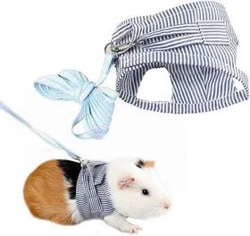 Meilleurs prix pour Harnais de scurit pour cochons dInde laisse et corde pour le dressage ou la promenade des petits animaux Label