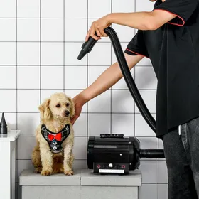 Meilleurs prix pour Séchoir professionnel pour chiens chats animaux 2800W vitesse et température réglable 3 buses interchangeables incluses noir