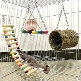 Comparer les prix de Jouet Hamster, Lot de 3 Jouets pour Perroquets ou Chiens. Échelles de pont, jouet balançoire, hamac perché pour Hamster, écureuil,