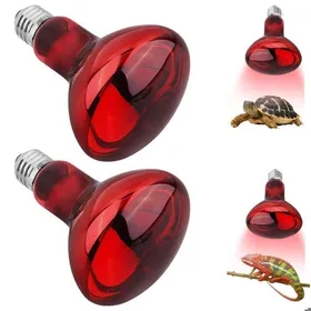 Meilleurs prix pour Reptile Ampoules Chauffantes 2 Pièces Lampe Chauffante Infrarouge Dimmable E27 100W Rouge ampoule chauffante  VIVARIUM - TERRARIUM