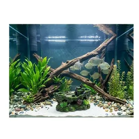 Meilleurs prix pour Décoration aquarium épave de bateau cachettes effet mousse 18 cm