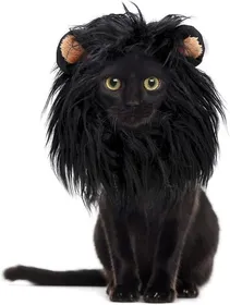 Meilleurs prix pour Chapeau mignon pour chien ou chat perruque drle avec crinire de lion et oreilles Animalerie > Chien > Vêtements