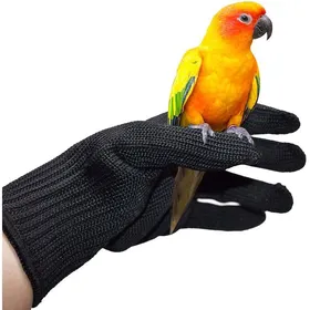 Meilleurs prix pour Gants dentraînement anti-morsure gants de protection pour perroquets gants de manipulation de perroquets et gants de