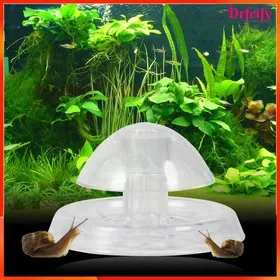 Meilleurs prix pour Akozon piège à escargots daquarium  Piège à Escargots Receveur Daquarium Sûr en Plastique Environnemental animalerie eclairage