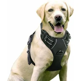 Meilleurs prix pour Harnais Anti-Traction - YYV - Noir - Réfléchissant - Réglable - Taille M