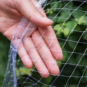 Meilleurs prix pour YSFMODE-Filet Chat BalconFilet De Protection ChatNylon Forte RésilienceFilet Anti OiseauxFilets Pour JardinFilet OiseauxFile