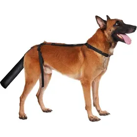 Comparer les prix de Protège-queue pour chien pour chiens moyens et grands couvercle ajustable pour empêcher le léchage poche respirante pour la