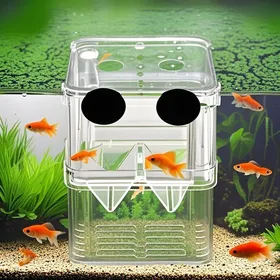 Meilleurs prix pour Boîte élevage double couche transparente ventouses poissons agressifs crevettes alevins
