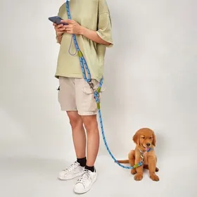 Comparer les prix de Laisse pour chien Harnais Laisse pour promenade pour chien Laisse mains libres-b