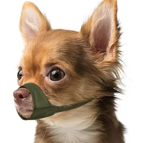 Comparer les prix de Muselière pour museaux Courts pour Chihuahua Shih tzu Boxeur américain muselière en Tissu Doux S [Snout Cir: 5.5-7] VERT MUSELIERE