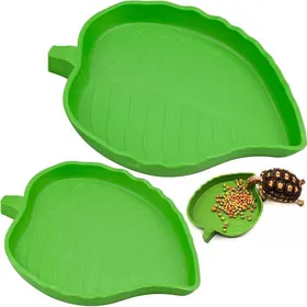 Meilleurs prix pour Bol eau et nourriture - 2pcs Pour tortue reptile lézard scorpion - Vert Cuneary