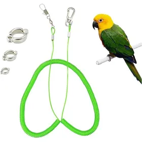 Meilleurs prix pour Corde Vonte pour Perroquet Chaîne de 5 m pour pied de perroquet pour entraînement à volée harnais Vert KIT JOUET
