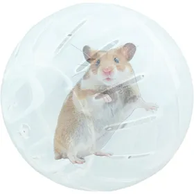 Comparer les prix de Balles dexercice pour Hamster  Boules De Jogging avec Roue Dexercices pour Hamsters  Ball De Hamster Transparent  Ballon