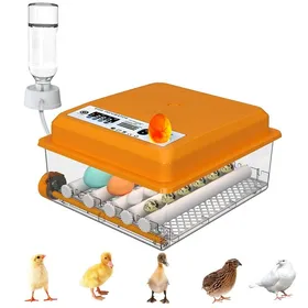 Meilleurs prix pour Incubateur automatique pour 36 œufs avec contrôle de la température remplissage deau automatique et mire-œufs intégré.