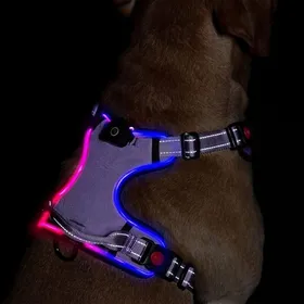 Meilleurs prix pour Harnais lumineux pour chien - OKZ® - LED intégrées - Modes clignotement rapide/lent/lumière fixe - Rechargeable USB