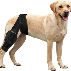 Meilleurs prix pour Genouillère chien patte arrière attelle réglable harnais soutien jambe récupération anti-douleur articulaire anti-léchage (L).