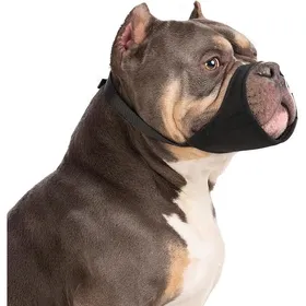 Meilleurs prix pour Muselière pour Chiens pour Pitbull Rottweilers American Bully Bulldog Boxers de Taille Moyenne et Grande à museau Court X MUSELIERE