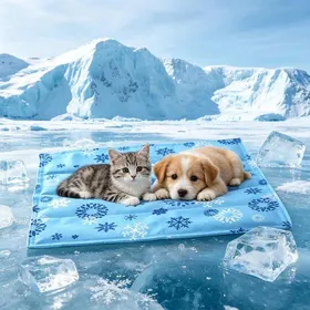 Comparer les prix de T soie glacée sans gel pliable facile rangement - Confortable chiot chat par forte chaleur intérieur extérieur PIQUET DATTACHE
