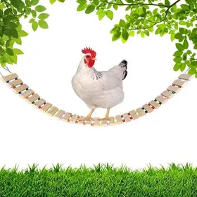 Meilleurs prix pour Jouets à bascule pour poules, perchoir en bois naturel pour perroquets, accessoires pour poulaillers autoportants, jouets de