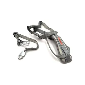 Comparer les prix de CEINTURE DE SÉCURITÉ AUTO ET HARNAIS POUR CHIEN TAILLE M 11-25 kg