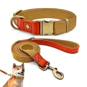 Meilleurs prix pour Qianruida Ensemble Collier et Laisse en Nylon Respirable pour Chien-Confort Optimal Ne Abîme Pas le Pelage-KHA-L