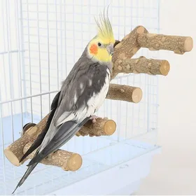 Comparer les prix de Échelle en Bois Naturel et Pont dEscalade pour Cage à Oiseaux (Perroquets Perruches Conures) .