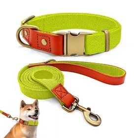 Comparer les prix de Collier et Laisse pour Chien - Qianruida - Nylon - Jaune Fluorescent - Taille L - Dressage