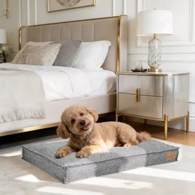 Comparer les prix de Panier Chien Orthopédique - BingoPaw - Lit pour Chien Coussin Déhoussable pour Chiens  Anti-dérapant - Gris 75x50.5x10cm