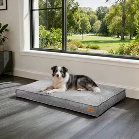 Meilleurs prix pour Panier Chien Orthopédique - BingoPaw - Lit pour Chien Coussin Déhoussable pour Chiens  Anti-dérapant - Gris 118x89x12cm